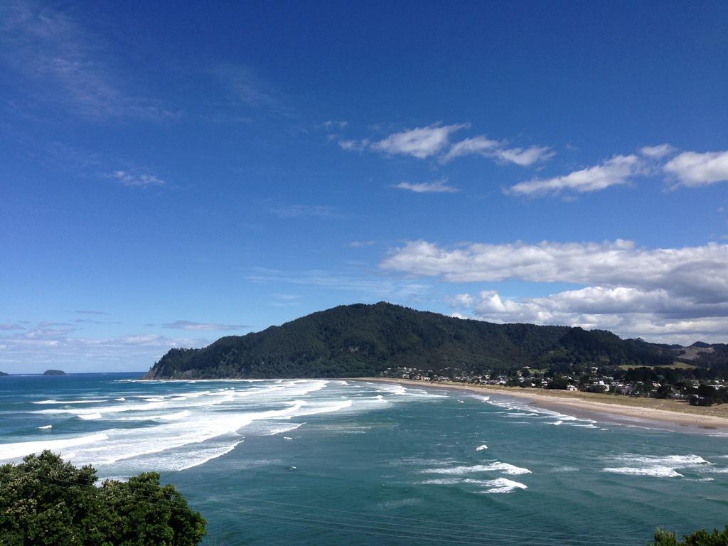 Paku Palms Bed & Breakfast Tairua Bilik gambar